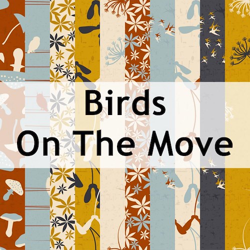 Birds On The Move
